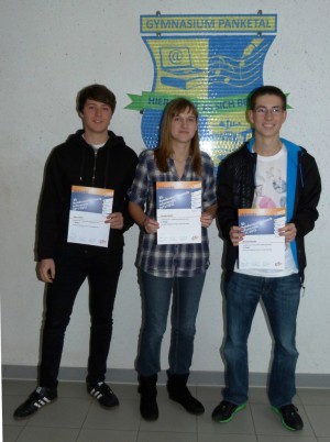Sieger im 30. Bundeswettbewerb Informatik 2012