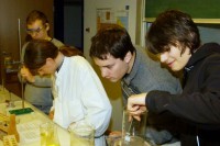 scheint ziemlich interessant zu sein