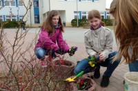 Arbeiten wie die Profis