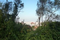 Ausblick und Abschied