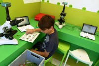 Jetzt geht´s ans Bestimmen