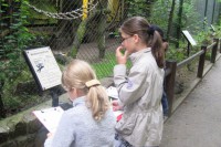 Symbiose von Hinweisschild und Arbeitsblatt