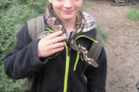 Der mit der Schlange tanzt