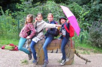 Tiger, geduldig wie ein Esel