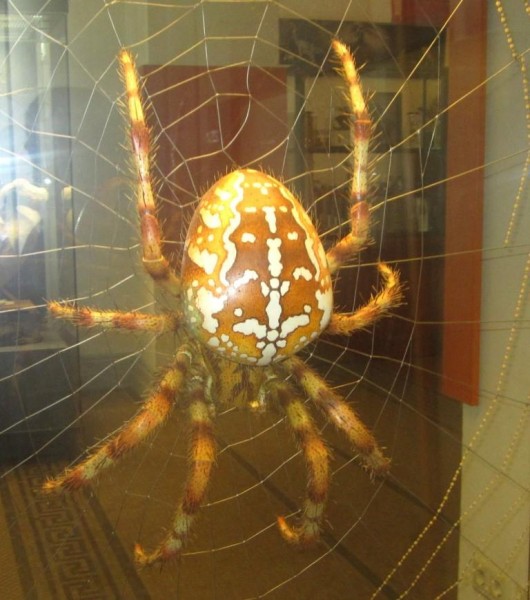 Wirklich, sooooo große Spinnen! ;-)