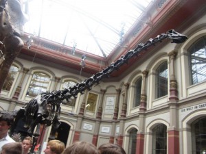 Finde Frau Wendering