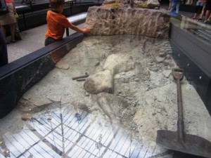 festgehaltene Ausgrabungssituation