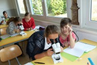 Die W-Fragen: Wolle oder Wal?