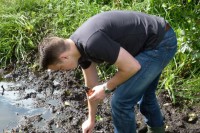 ahnungsloses Faunaopfer