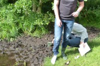 Der Gemeine Gummistiefelsauger