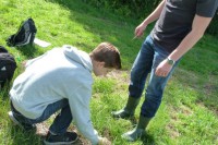 Entnahme von Bodenproben