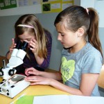 Durchblick haben - Mikroskopieren hilft