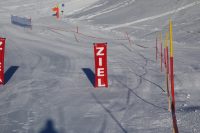 und im nächsten Jahr wieder