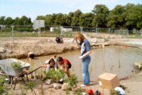 Bepflanzung des Schulteichs