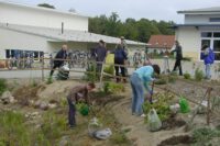 die Bepflanzung geht weiter