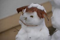 Winter am Gymnasium Panketal