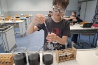 ph-Wertbestimmung von Tümpelwasser, lecker