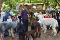 Sommerprojektwoche 2025 Wandern