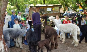 Sommerprojektwoche 2025 Wandern