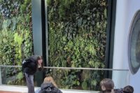 schön grün mit Fußbodenheizung